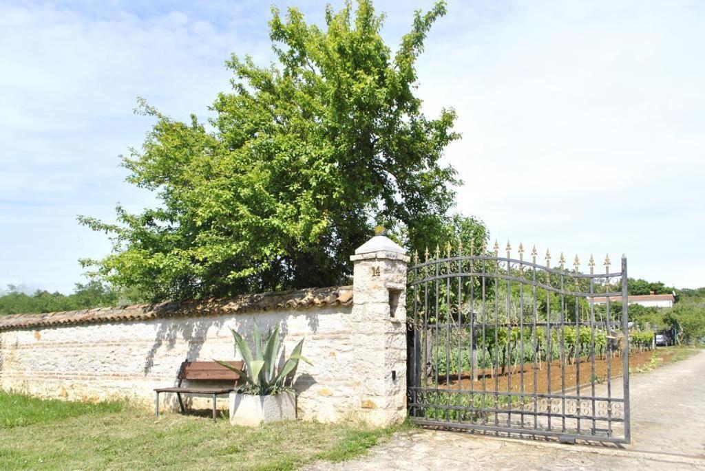 Portun Vrsar