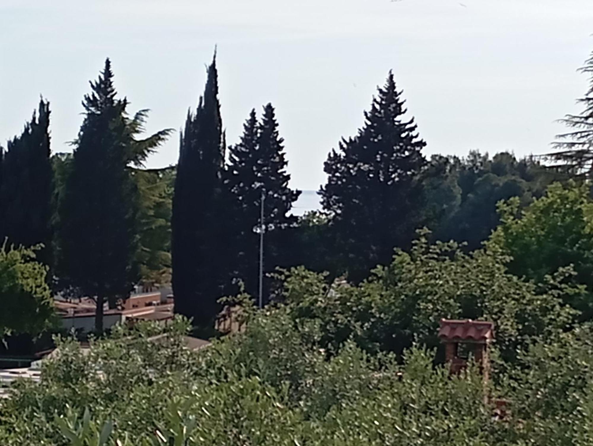 Portun * Vrsar